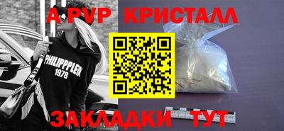 скорость Кингисепп