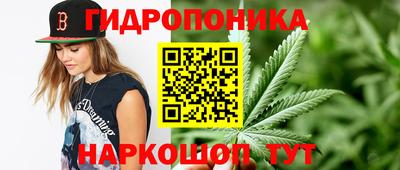 скорость Кингисепп