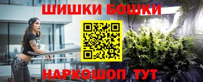 скорость Кингисепп