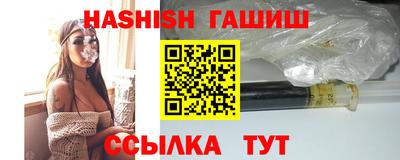 скорость Кингисепп
