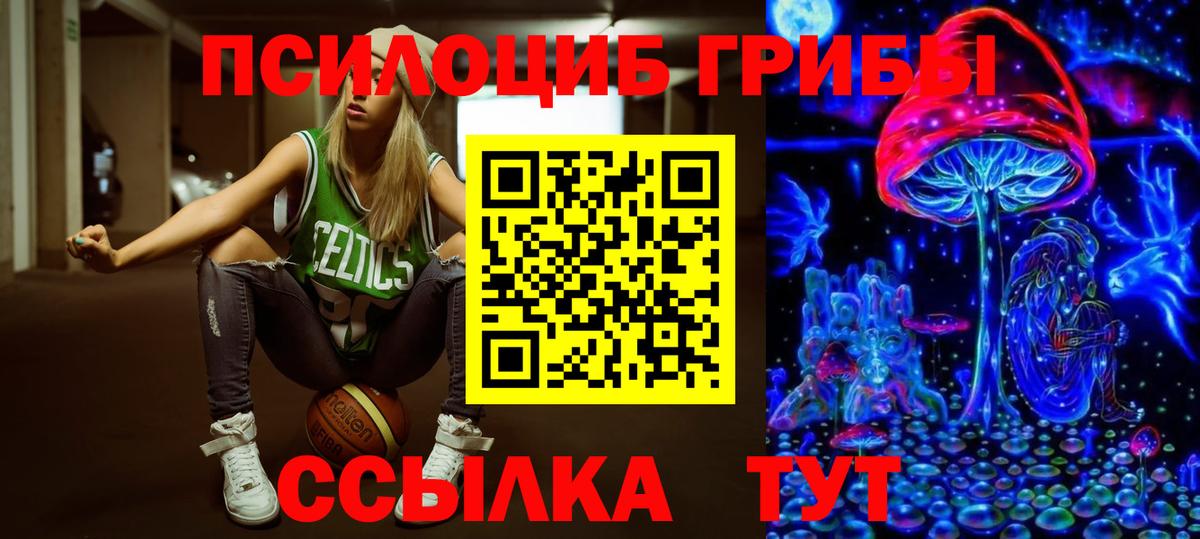 Псилоцибиновые грибы Magic Shrooms  Новотроицк  закладки  Псилоцибиновые грибы Psilocybe 