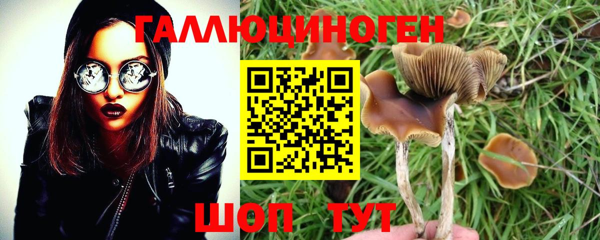 Галлюциногенные грибы Cubensis  Вход с VPN  Новотроицк  Галлюциногенные грибы Psilocybe 