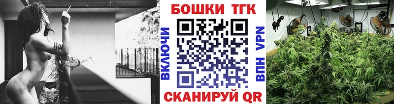 Шишки марихуана SATIVA & INDICA где купить наркотик Новотроицк