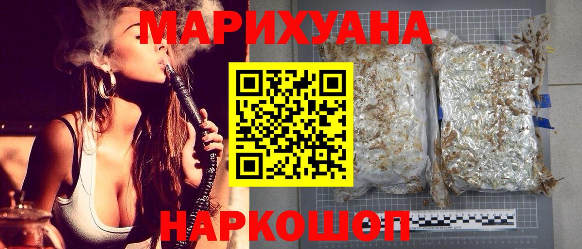 МАРИХУАНА план  Шишки марихуана гибрид  Новотроицк  Бошки Шишки THC 21% 